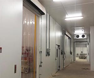 câmera frigorifica 5